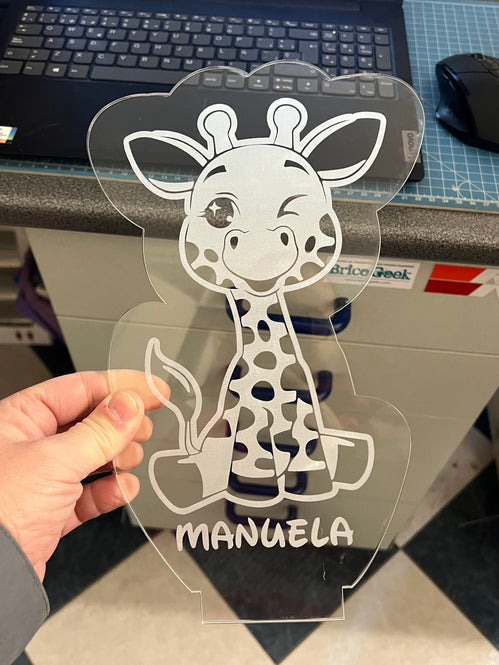 Omtech lasercutter